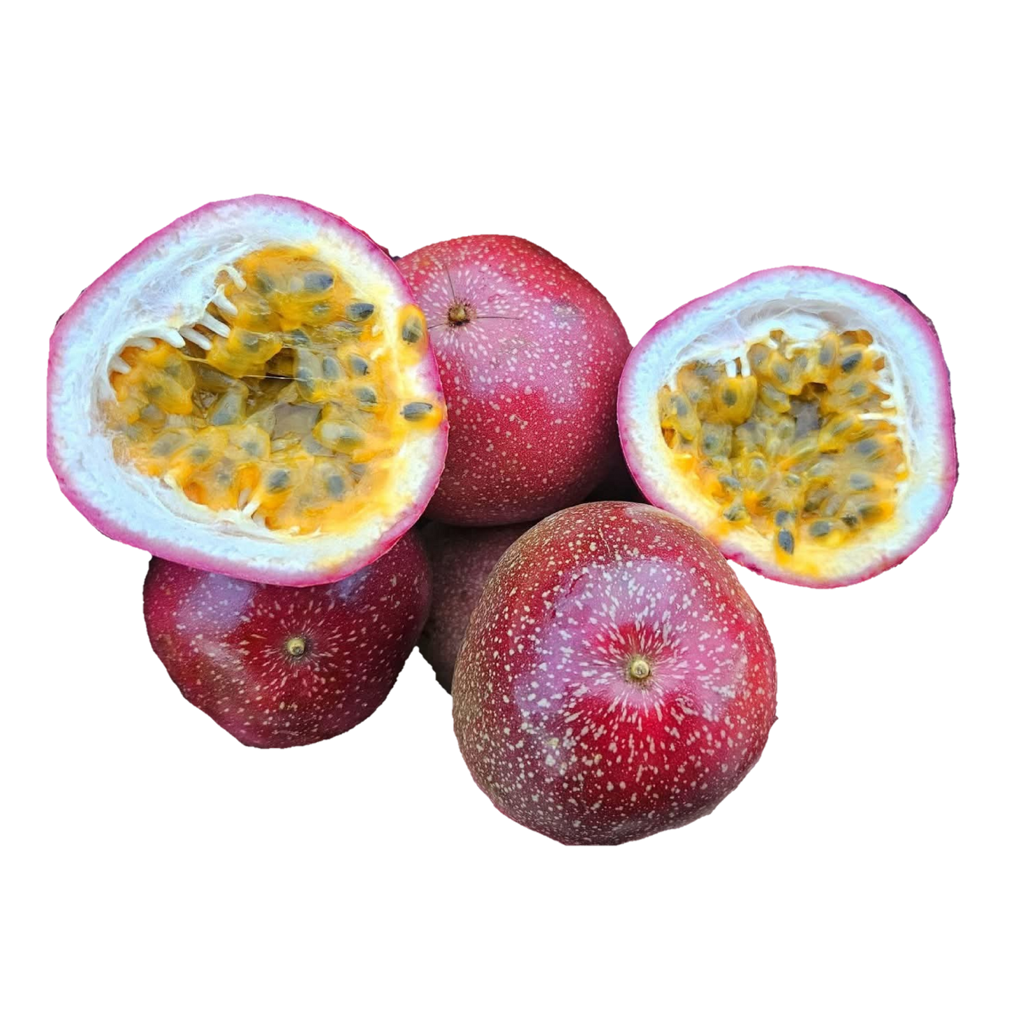 Passionfruit " Panama Red "