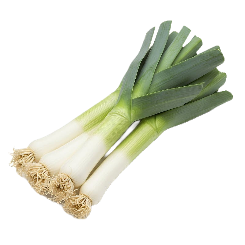 Leek