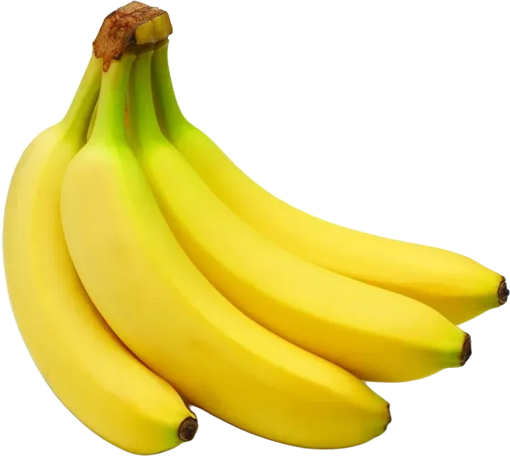 Banana Cavendish