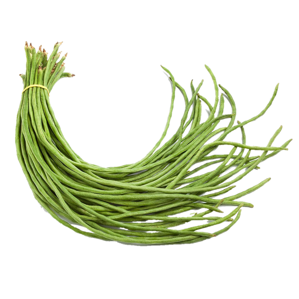 Beans Snake