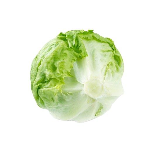 Lettuce Iceberg