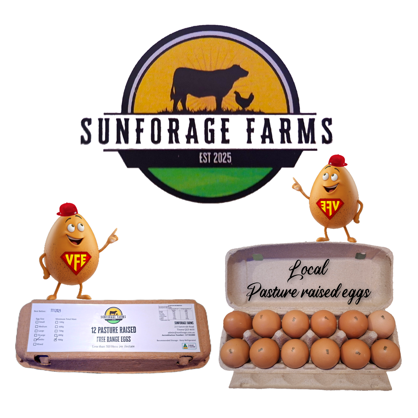 Eggs - local pasture raised free range