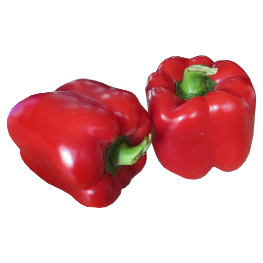 Capsicum Red