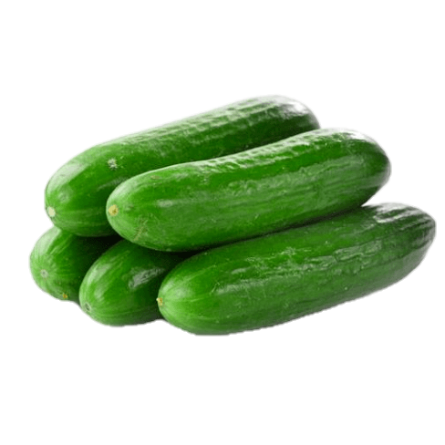 Cucumber Lebanese