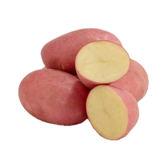 Potato Red Washed