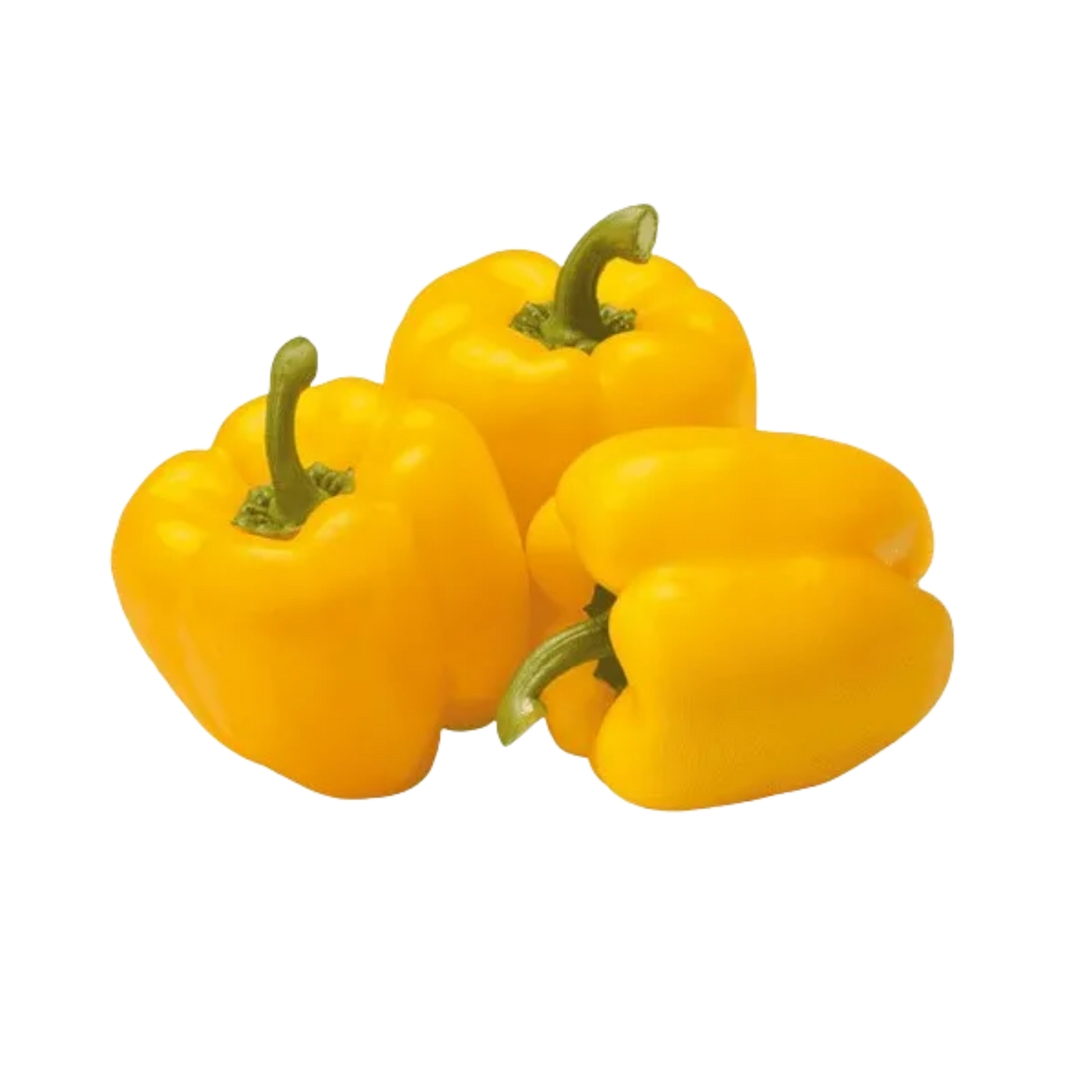 Capsicum Yellow