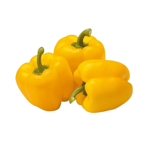 Capsicum Yellow
