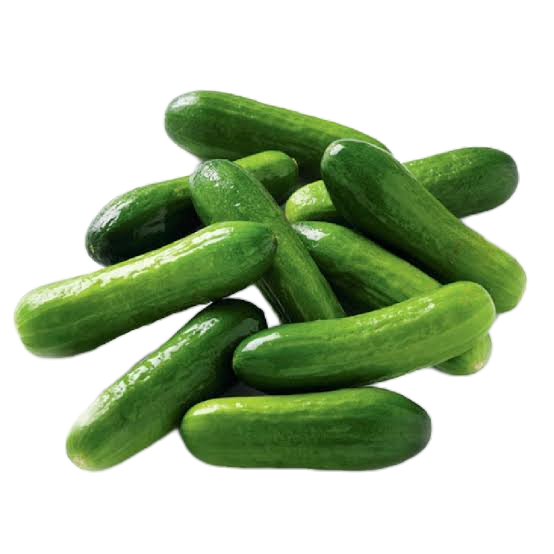 Cucumber baby Lebanese