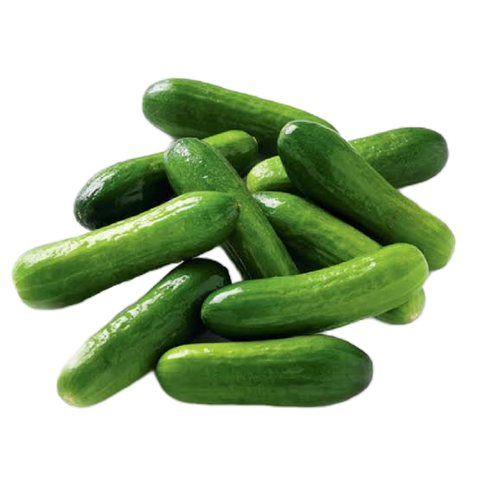 Cucumber baby Lebanese