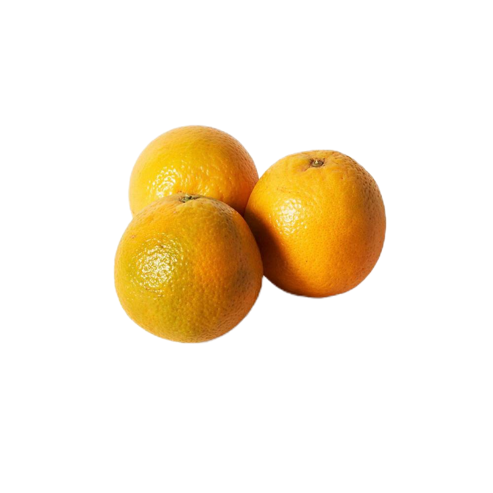 Orange Valencia