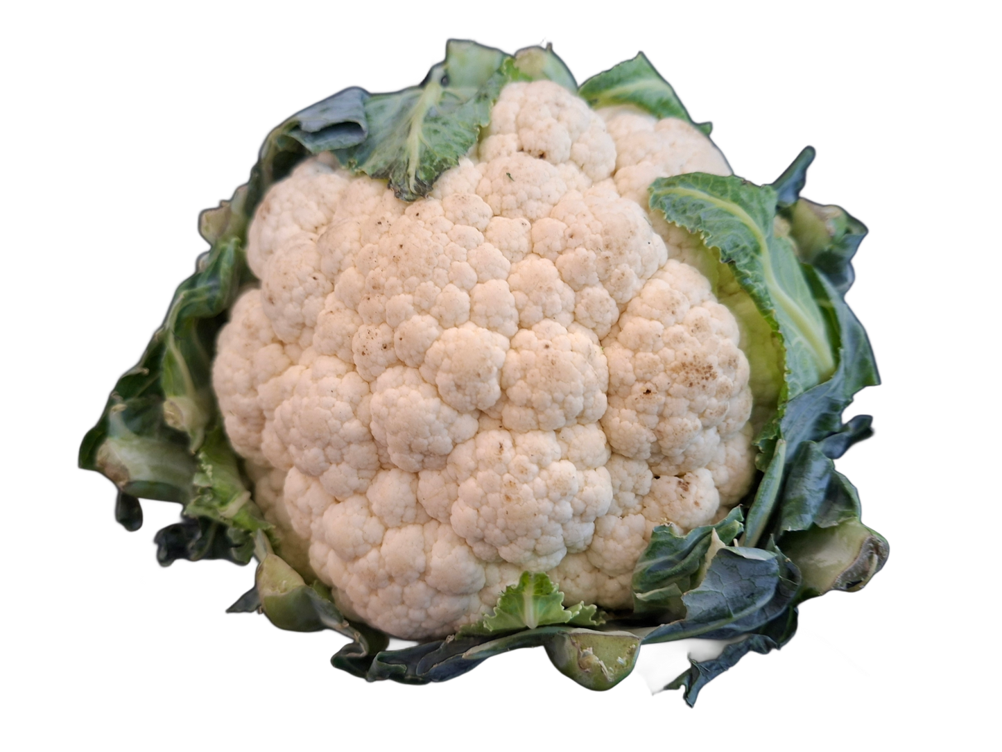 Cauliflower Whole