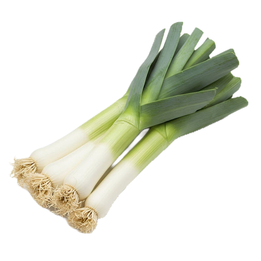 Leek
