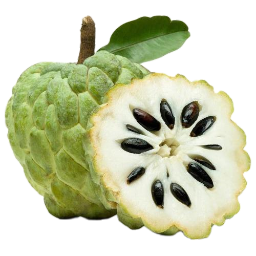 Custard Apple